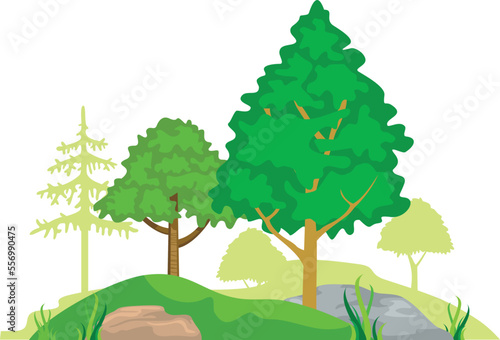 Rocky ground with growing trees. Natural forest landscape