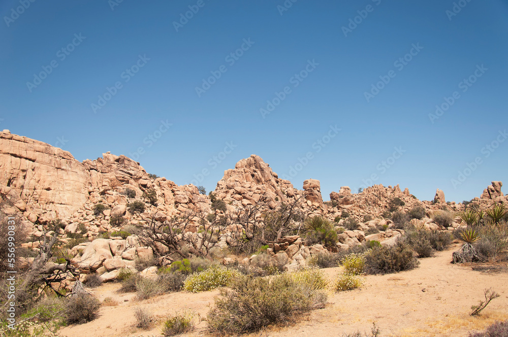 joshua tree national park california hidden valley trail landscape