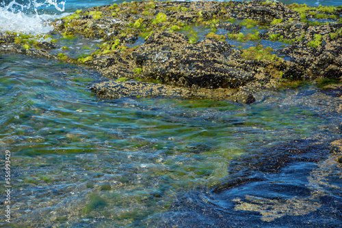 rocks on the sea