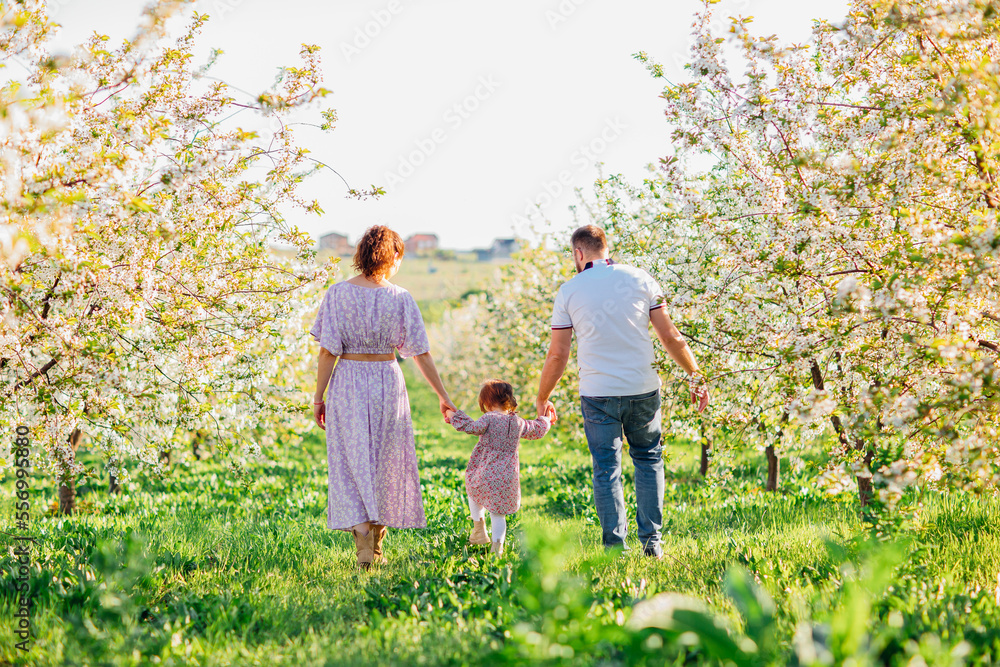 Fototapeta premium mom and dad with little daughter have fun and walk in a blooming spring garden. 