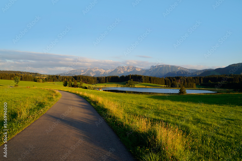 Naklejka premium hiking trail overlooking scenic alpine lake Attlesee and the lush alpine valley with its endless green alpine meadows in the Bavarian Alps in Nesselwang, Allgaeu or Allgau, Bavaria, Germany