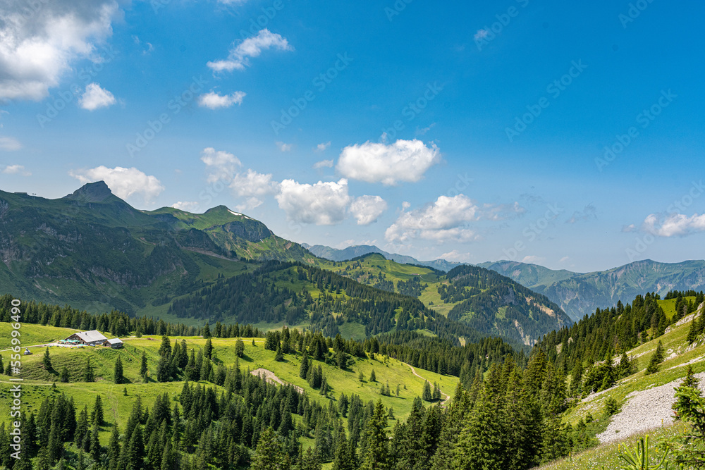 Panorama in den Alpen im Sommer