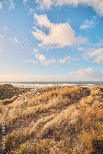 Canvastavla Pathway to the Coast at Denmarks shore. High quality photo