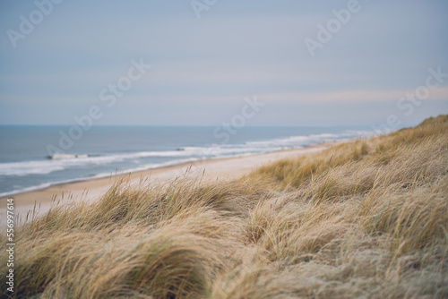 Fototapeta Naklejka Na Ścianę i Meble -  Dunes at the Danish coast in winter. High quality photo