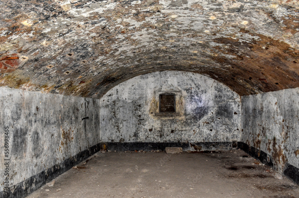 Obraz premium Osoppo, Festung, Bunker, Ruine, Friaul, Denkmal, Forte Osoppo, Gewölbe, Colle Napoleone, Baudenkmal, Julisch Venetien, Italien, Munitionsbunker, verfallen, unterirdisch, Gang, Front, Unterkunft, Ziege