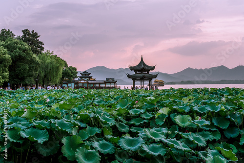 beautiful the west lake scenery, landscape with sunset in hangzhou,China photo