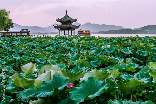 beautiful the west lake scenery, landscape with sunset in hangzhou,China