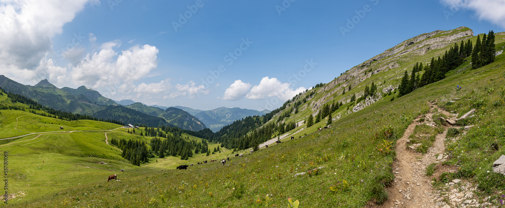 Fototapeta premium Panorama in den Alpen im Sommer