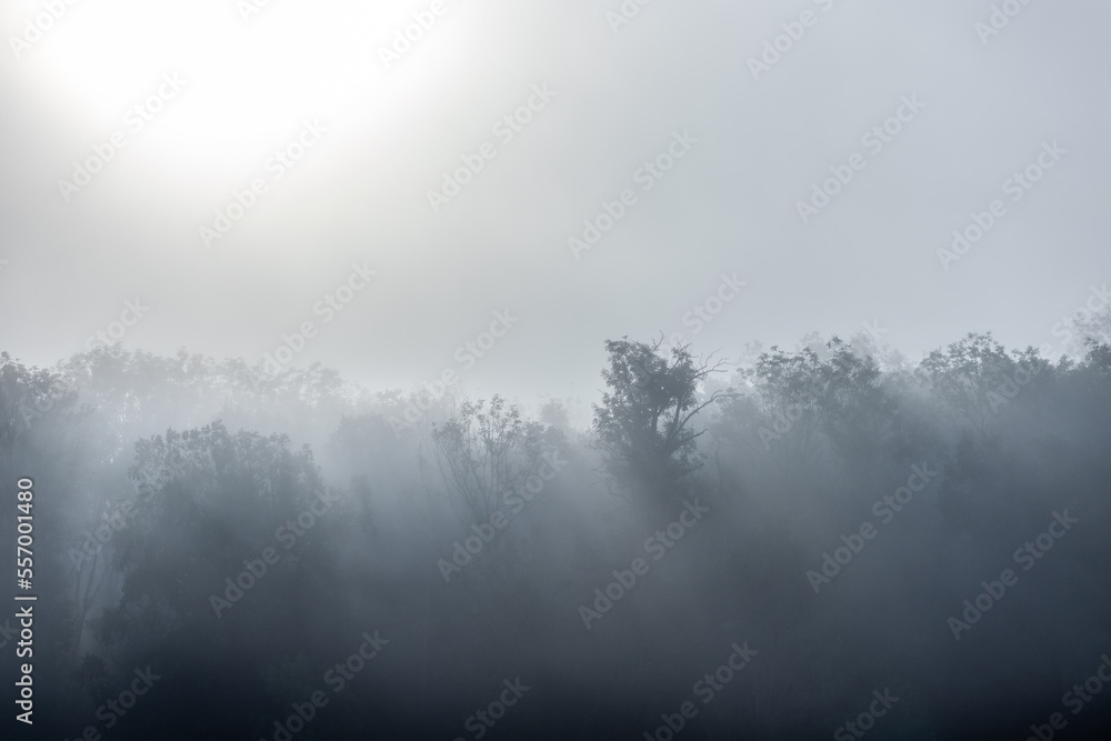 Fototapeta premium Foggy carpathian landscape in morning light. Autumnal nature scenery at sunrise.