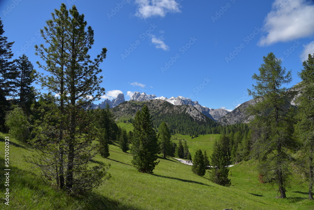 Landschaft an der Plätzwiese in Südtirol