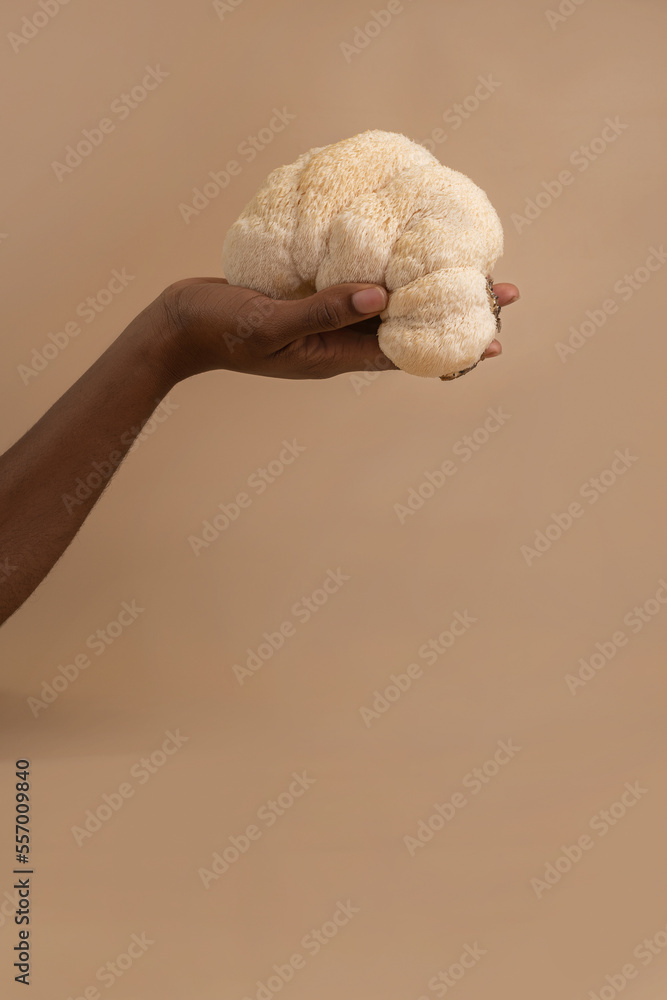 Large lion mane mushroom in beautiful dark skined woman hand on studio beige background, copy spacce - obrazy, fototapety, plakaty 