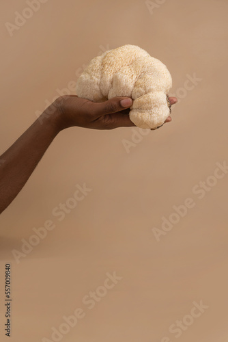 Large lion mane mushroom in beautiful dark skined woman hand on studio beige background, copy spacce