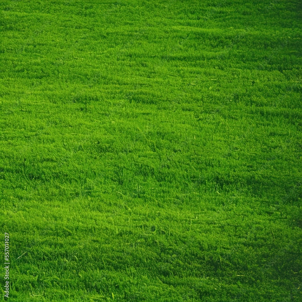 Obraz premium Green grass sunny background - generative ai