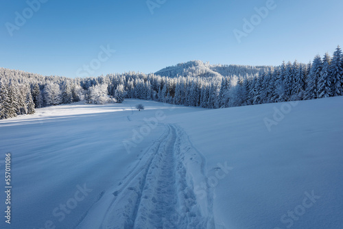 Obidova, Beskid mountains, Czech Republic, Czechia. Winter landscape, mountains, meadow, field and trees are covered by white snow. Path, pathway and footpath. Beskydy in wintertime.