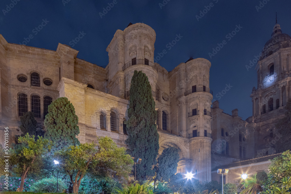 Fototapeta premium Amazing night photography around Malaga La Manquita Cathedral, Plaza de la Constitucion and Marques de Larios street in long time exposure. Malaga old city center empty streets at night. Spain