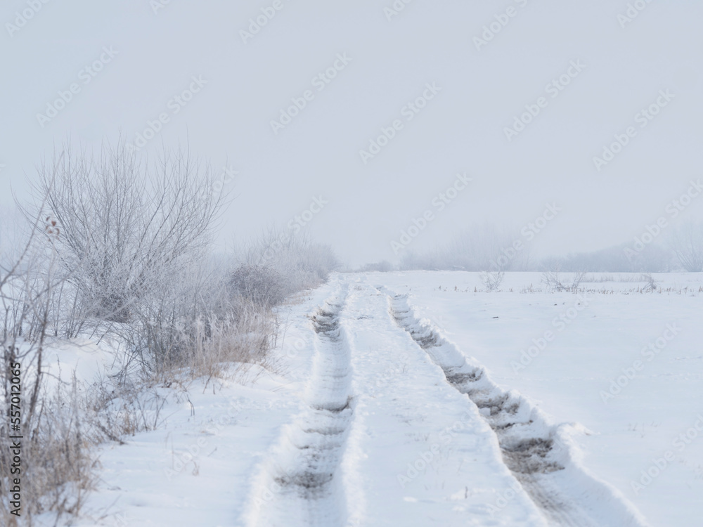 winter road in the snow