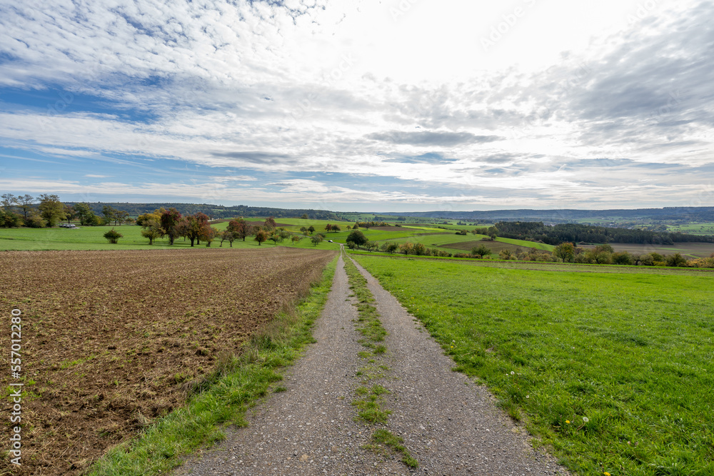 Fototapeta premium Landschaft Heimsheim