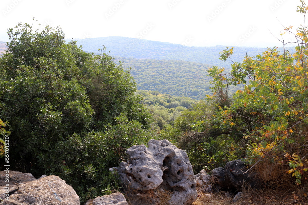 Landscape in the mountains in northern Israel.