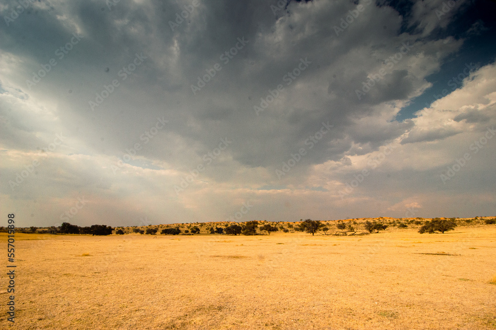 magnificent African sunset with dramatic clouds over desert