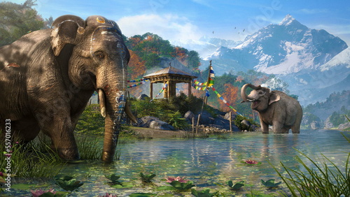 Photography elephants in the river