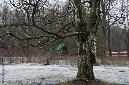 The beautiful bird house on a branch in a winter park