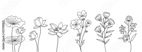 Decorative branch illustration flowers line art