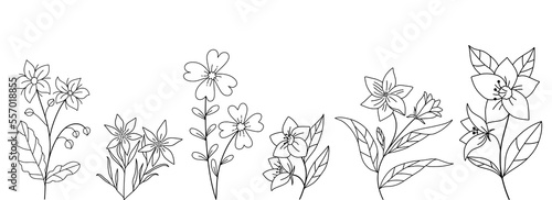 Decorative branch illustration flowers line art