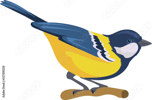 Tit sit on branch. Colorful wild bird icon