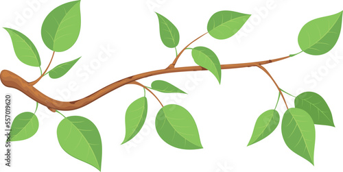Tree branch with green leaves. Cartoon nature icon
