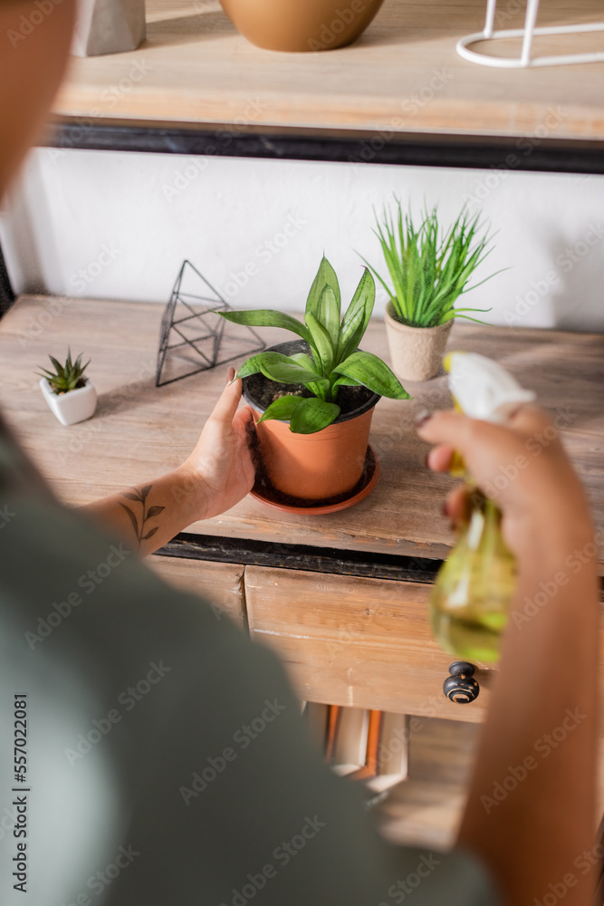 partial view of blurred african american florist holding spray bottle near natural potted plants on rack partial view of blurred african american florist holding spray bottle near natural potted plants on rack