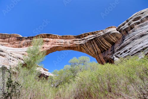 Natural Bridges National Monument photo