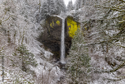 Fotografie View at Latourell Falls after winter storm in Columbia River Gorge, Oregon