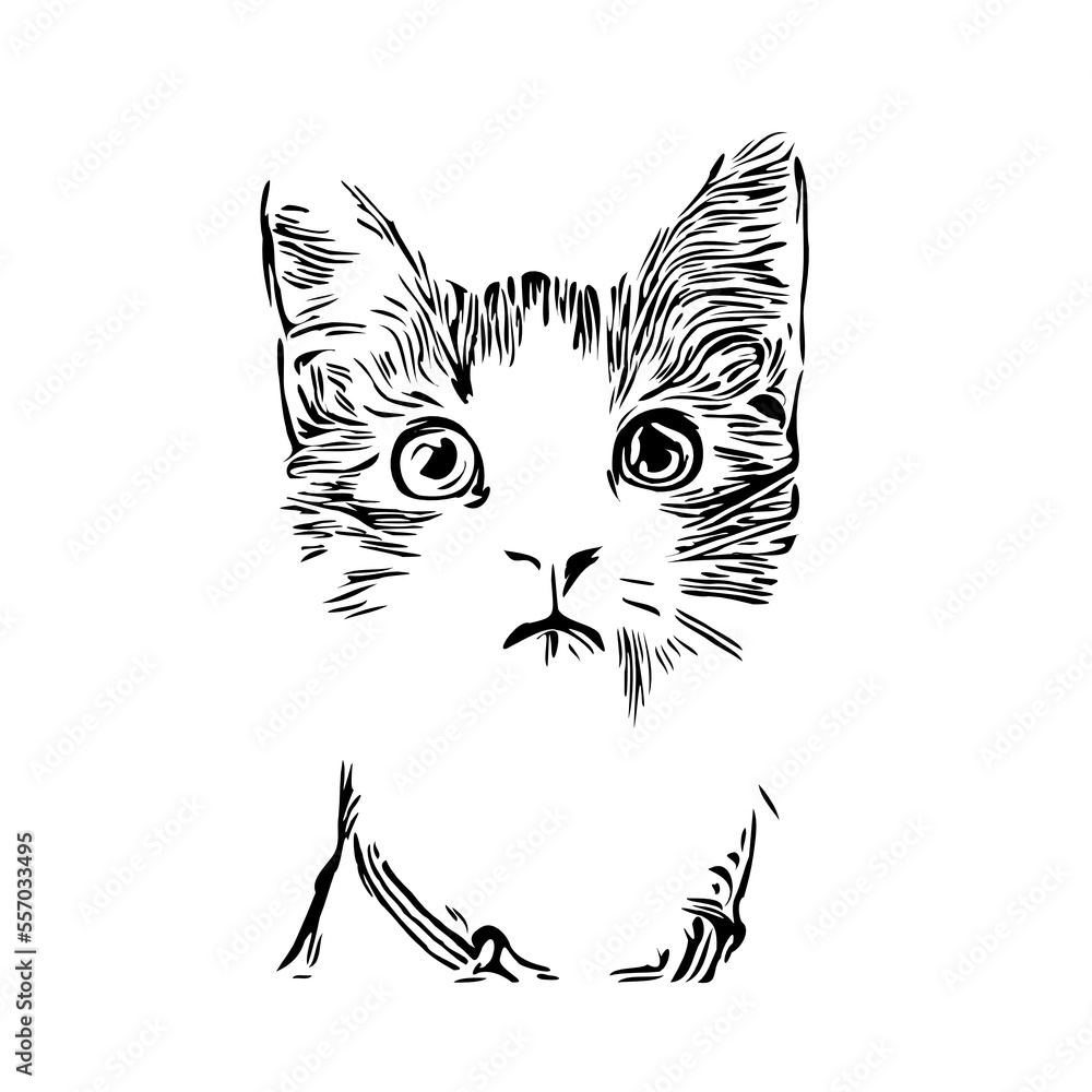 Obraz premium black and white drawing sketch of a cat with a transparent background