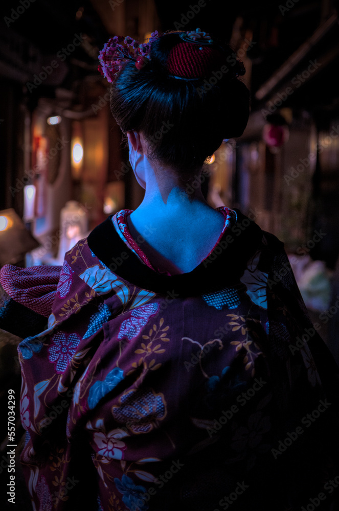 The back of a Geisha, Kyoto