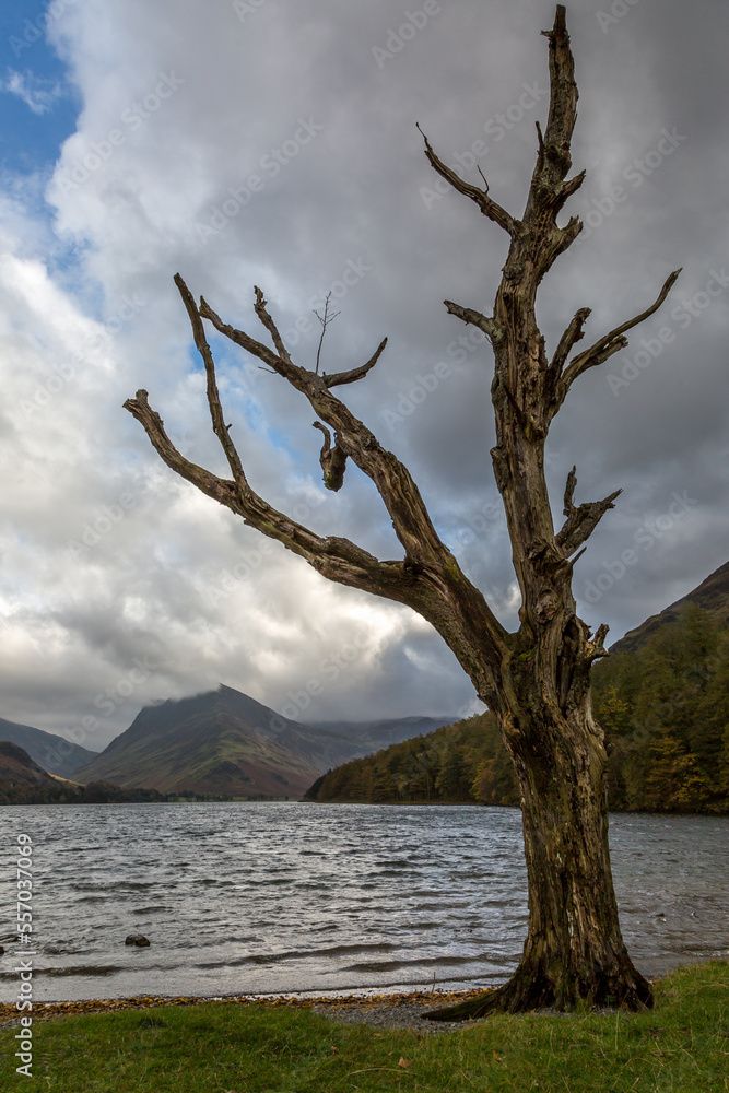 A typical autumn day around Buttermere Lake in the Lake District, England A typical autumn day around Buttermere Lake in the Lake District, England