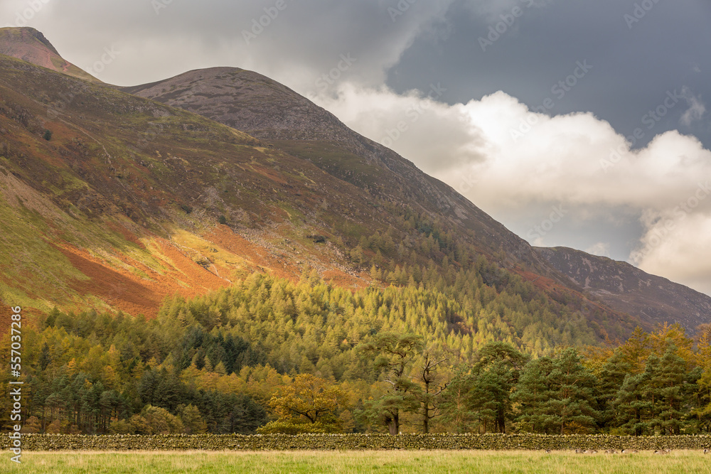 Obraz premium A typical autumn day around Buttermere Lake in the Lake District, England