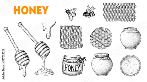 Honey hand drawn vector illustration. Healthy food illustration. Design elements. Hand drawing collection. Honeycomb, jar of honey, honey dipper sketch.