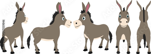 Donkey vector turnaround