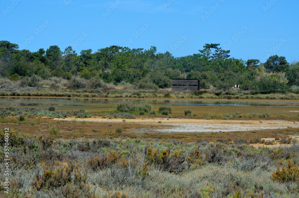 Ria Formosa Natural Park, Olhao