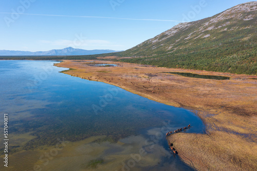 Aerial view of a shallow lake at the foot of the mountain. A herd of horses walks along the water along the shore of the lake. Nature of Siberia and the Russian Far East. Magadan region  Russia.