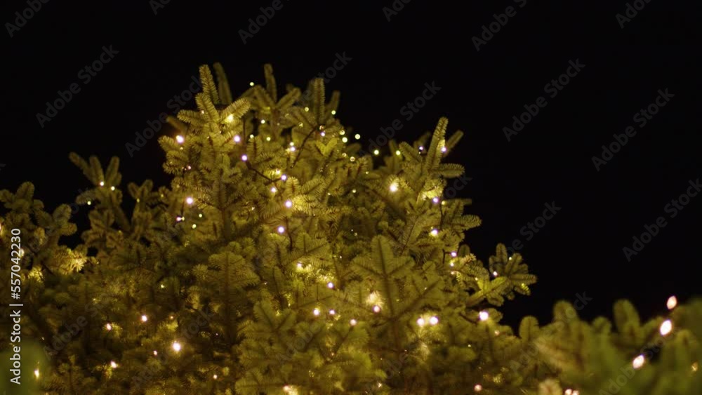 illuminated christmas tree at night illuminated christmas tree at night