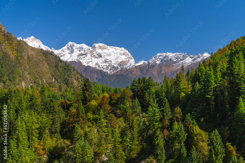 Obraz premium Picturesque view of himalayan mountain range and forest on a sunny cloudless day, Nepal