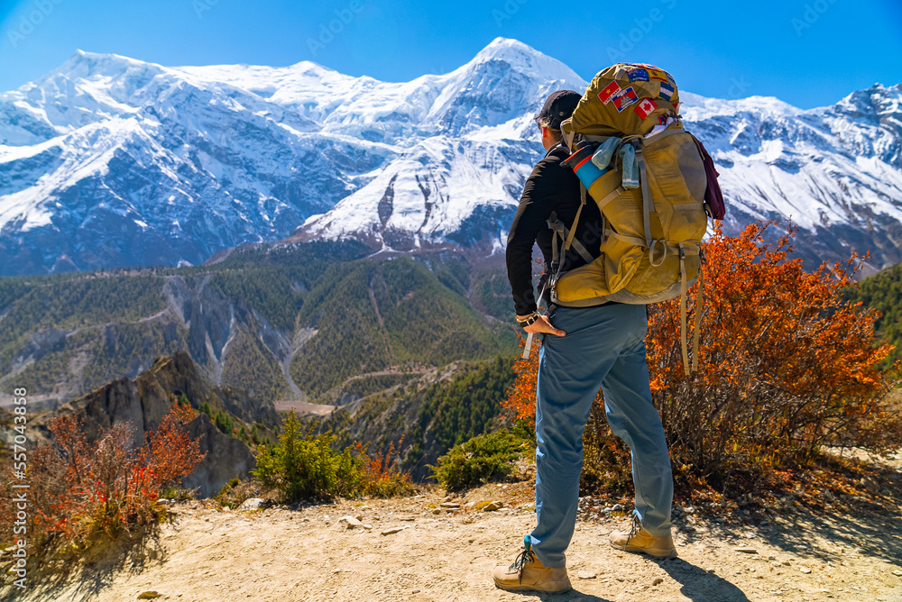 Female Trekker with large backpack looking at view on the Annapurna Circuit Trek on a sunny cloudless fall day