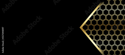 golden black background Design 301 Wallpaper Vector