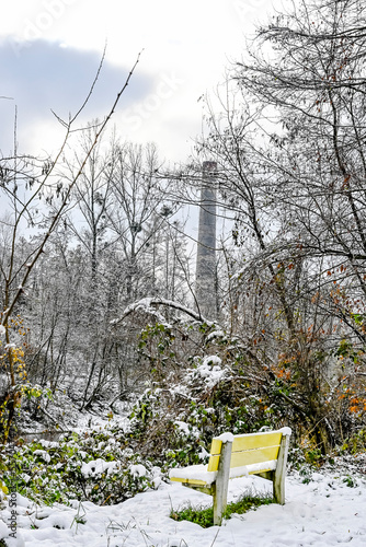 Münchenstein, Wald, Waldweg, Auwald, Laubbäume, Birs, Birstal, Baselland, Winter, Winterlandschaft, Winterspaziergang, Eis, Schnee, Wanderweg, Holzbank, Parkbank, Schweiz