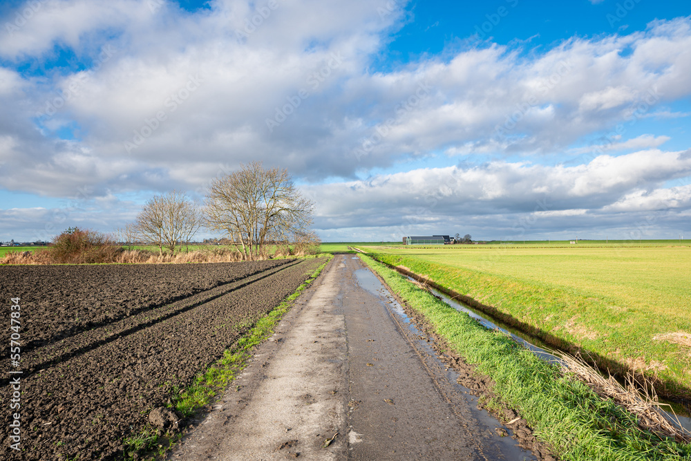 Country road in wide open Dutch landscape Country road in wide open Dutch landscape