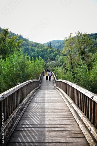 Castellfollit de la Roca, wooden bridge over the river fluvia, la garrotxa photo