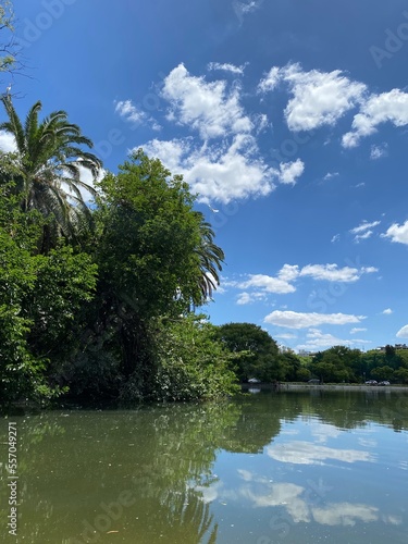 Beautiful pond landscape  trees in park in Buenos Aires  nature  traditional cultural architecture at sunny day and blue sky  Argentina