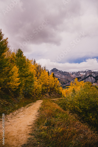 Landscape of sceneic views in Telluride, Colorado in the fall with colorful aspen trees, gondola, and purple mountain background