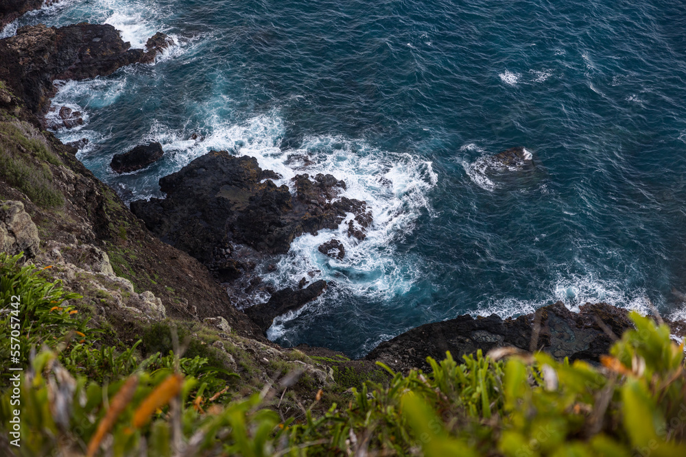 Waves hit the rocks through green leaf, deep ocean